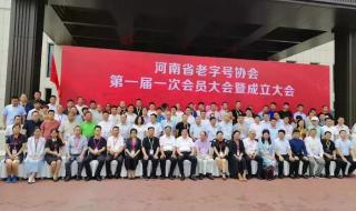 全网都在找河南金子 全网都在找河南金子