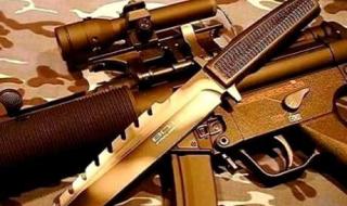 三国无双310级武器