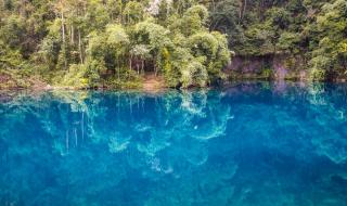 神奇宝贝绿宝石攻略 神奇宝贝绿宝石攻略